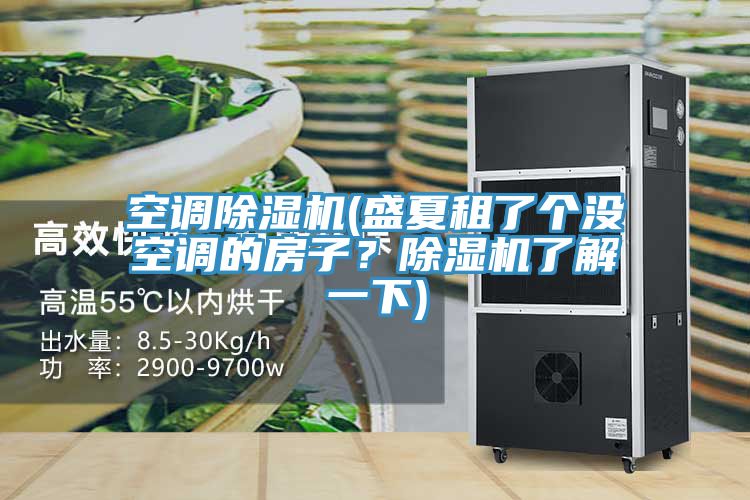 空調(diào)除濕機(jī)(盛夏租了個(gè)沒空調(diào)的房子？除濕機(jī)了解一下)