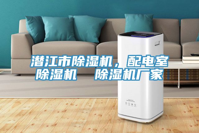 潛江市除濕機，配電室除濕機  除濕機廠家