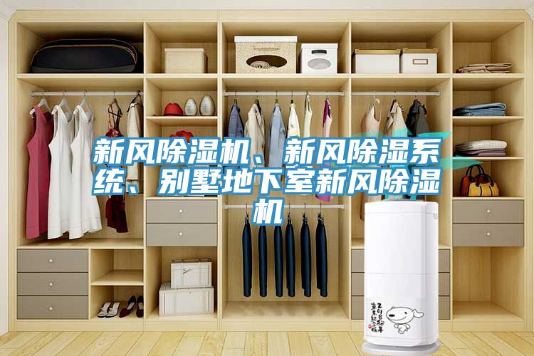 新風(fēng)除濕機(jī)、新風(fēng)除濕系統(tǒng)、別墅地下室新風(fēng)除濕機(jī)