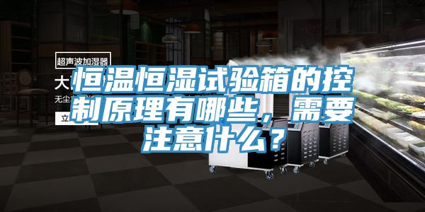 恒溫恒濕試驗箱的控制原理有哪些，需要注意什么？