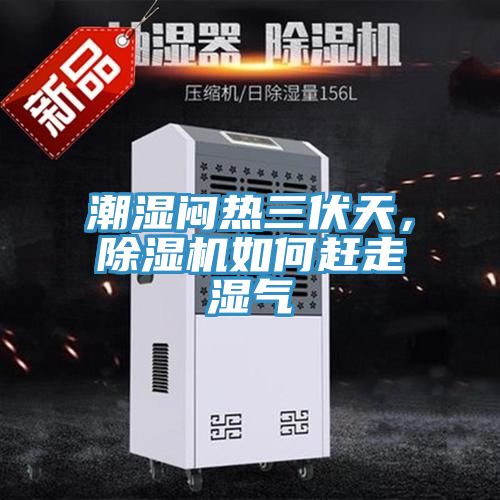 潮濕悶熱三伏天，除濕機(jī)如何趕走濕氣