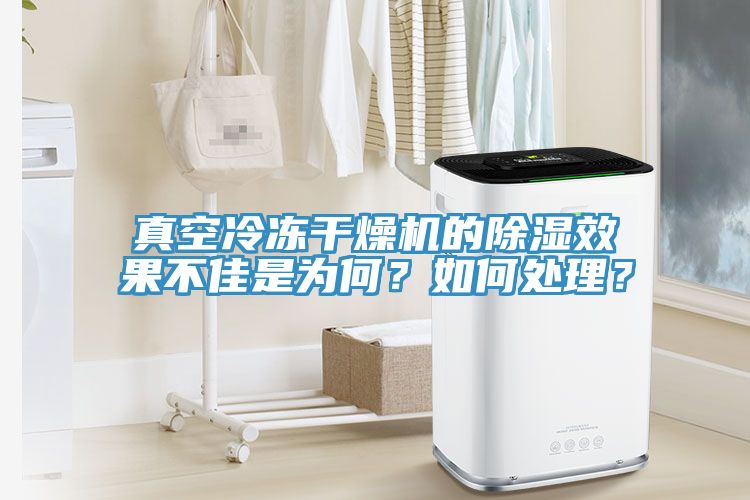 真空冷凍干燥機的除濕效果不佳是為何？如何處理？