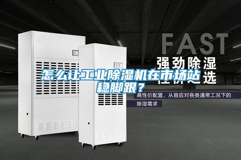 怎么讓工業(yè)除濕機在市場站穩(wěn)腳跟？
