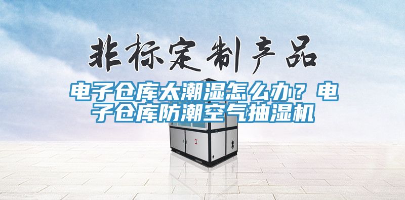 電子倉庫太潮濕怎么辦？電子倉庫防潮空氣抽濕機