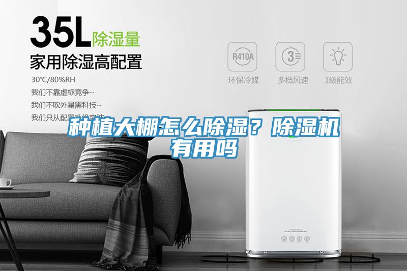 種植大棚怎么除濕？除濕機有用嗎