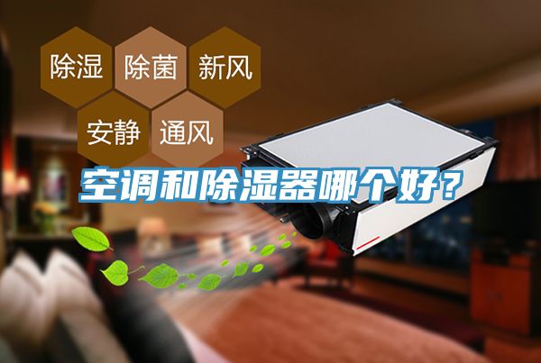 空調(diào)和除濕器哪個好？