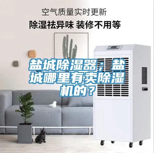 鹽城除濕器；鹽城哪里有賣除濕機(jī)的？