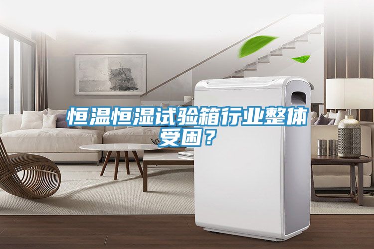 恒溫恒濕試驗(yàn)箱行業(yè)整體受困？