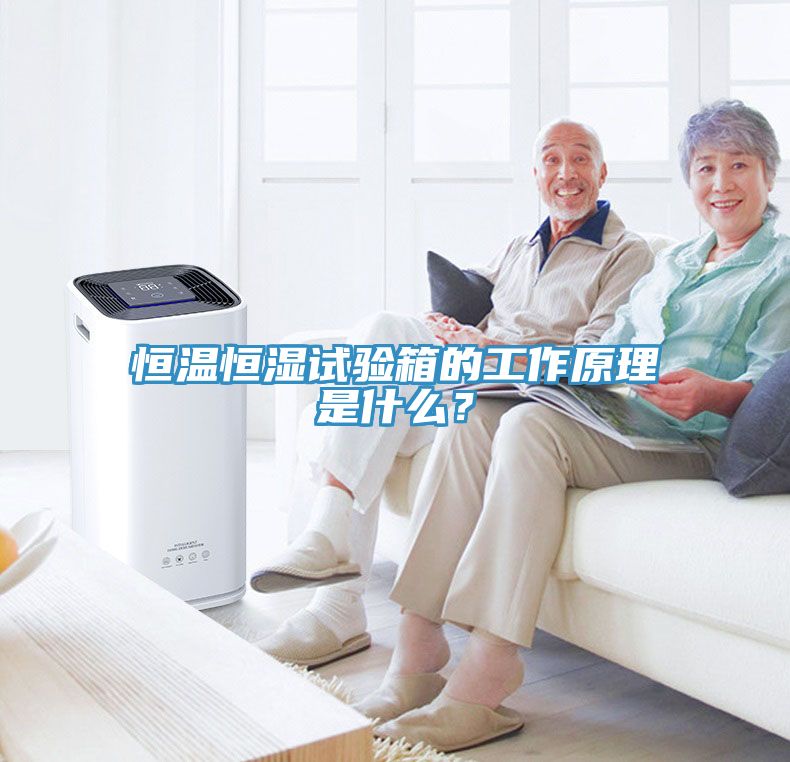 恒溫恒濕試驗箱的工作原理是什么？