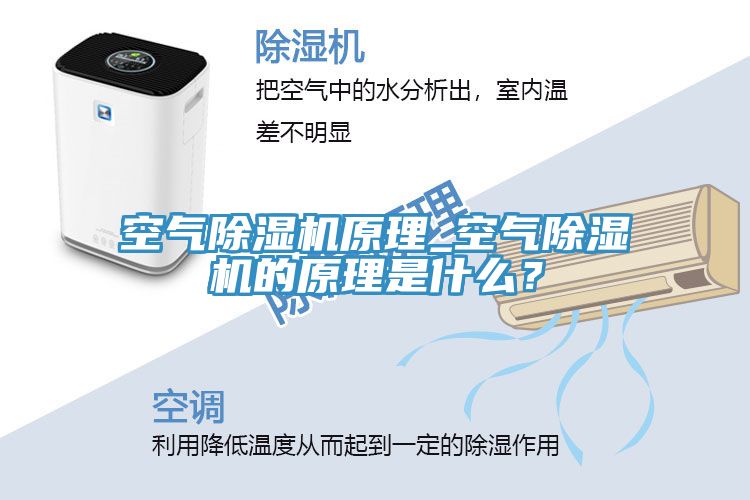空氣除濕機原理_空氣除濕機的原理是什么？