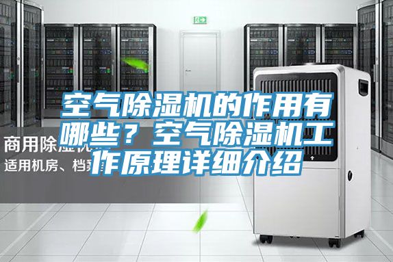 空氣除濕機(jī)的作用有哪些？空氣除濕機(jī)工作原理詳細(xì)介紹