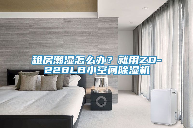 租房潮濕怎么辦？就用ZD-228LB小空間除濕機