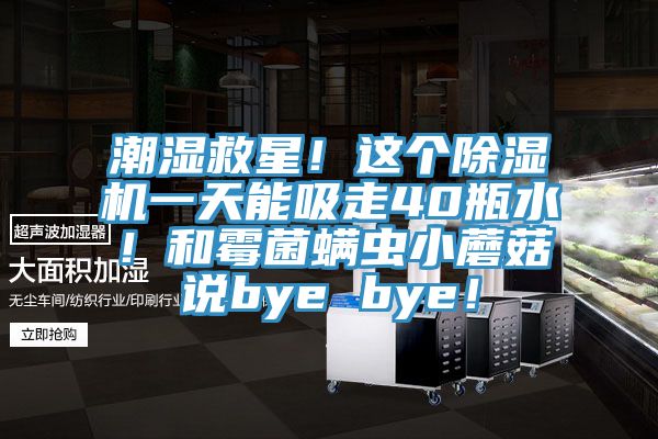 潮濕救星！這個除濕機一天能吸走40瓶水！和霉菌螨蟲小蘑菇說bye bye！