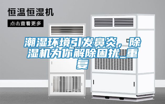 潮濕環(huán)境引發(fā)鼻炎，除濕機為你解除困擾_重復(fù)