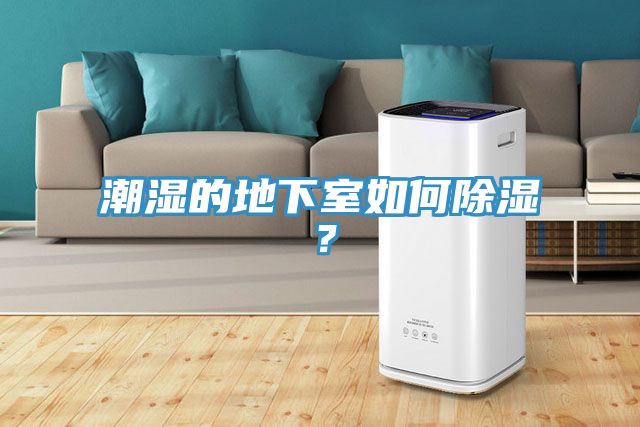 潮濕的地下室如何除濕？