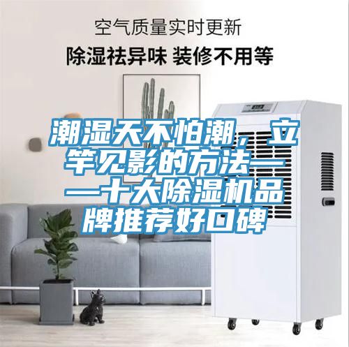 潮濕天不怕潮，立竿見影的方法——十大除濕機品牌推薦好口碑