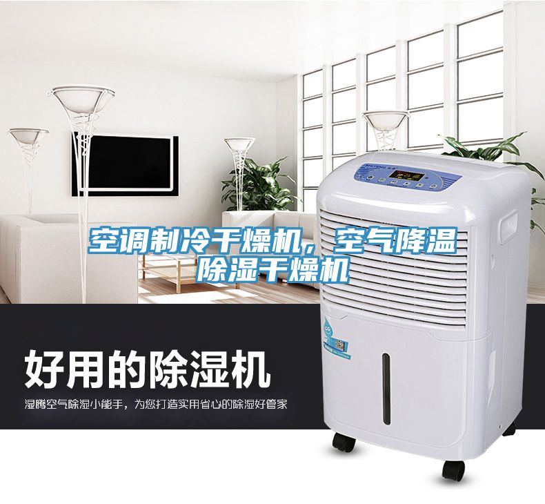 空調(diào)制冷干燥機，空氣降溫除濕干燥機
