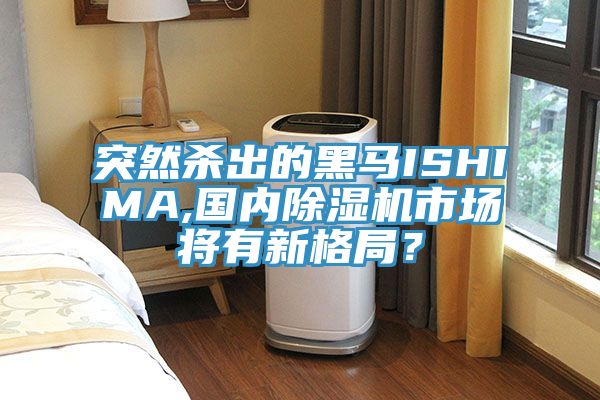 突然殺出的黑馬ISHIMA,國(guó)內(nèi)除濕機(jī)市場(chǎng)將有新格局？