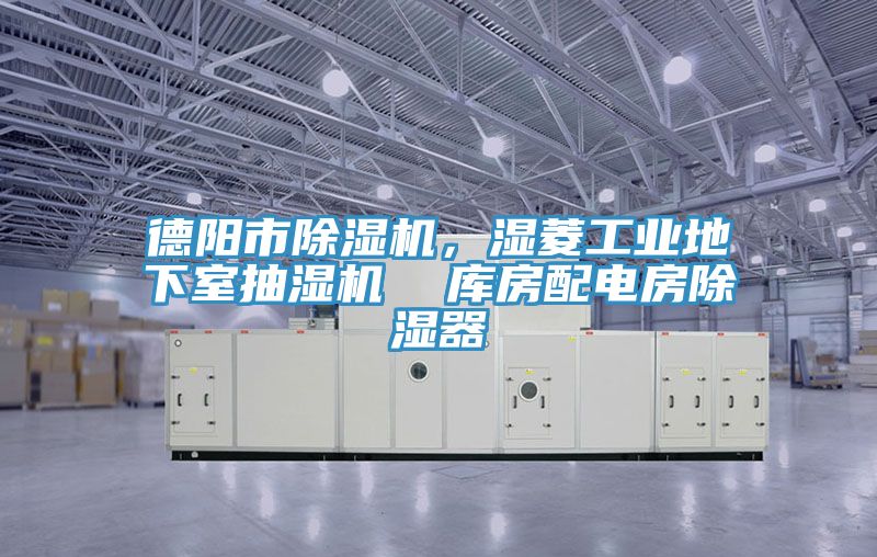 德陽市除濕機(jī)，濕菱工業(yè)地下室抽濕機(jī)  庫房配電房除濕器