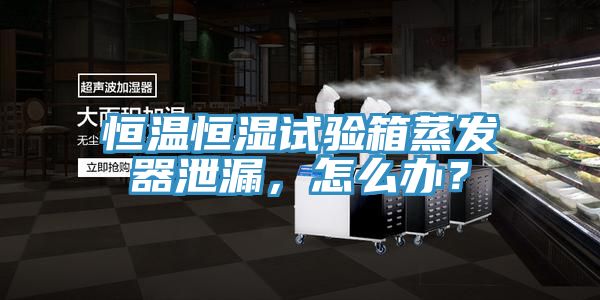 恒溫恒濕試驗(yàn)箱蒸發(fā)器泄漏，怎么辦？