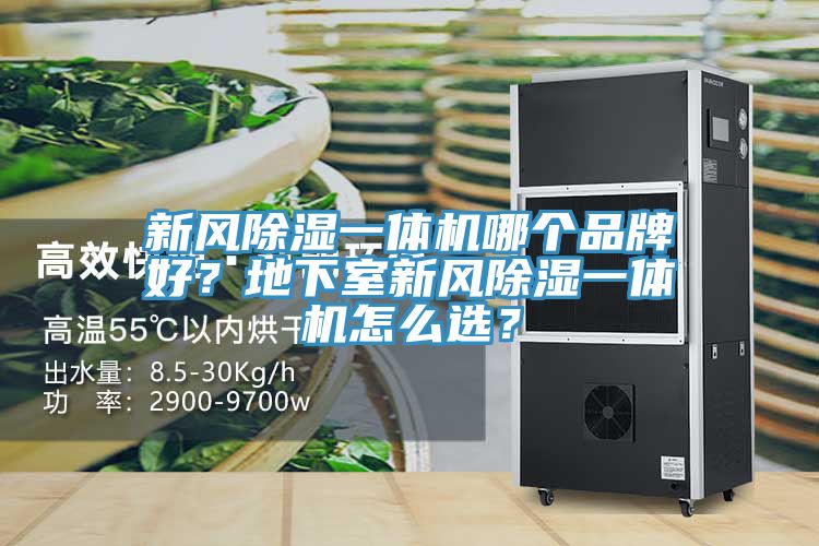 新風(fēng)除濕一體機(jī)哪個品牌好？地下室新風(fēng)除濕一體機(jī)怎么選？