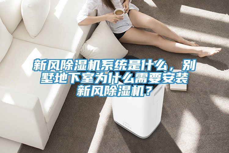 新風除濕機系統(tǒng)是什么，別墅地下室為什么需要安裝新風除濕機？