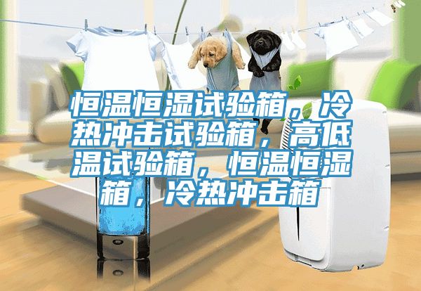 恒溫恒濕試驗箱，冷熱沖擊試驗箱，高低溫試驗箱，恒溫恒濕箱，冷熱沖擊箱