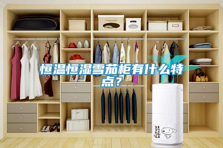 恒溫恒濕雪茄柜有什么特點(diǎn)？