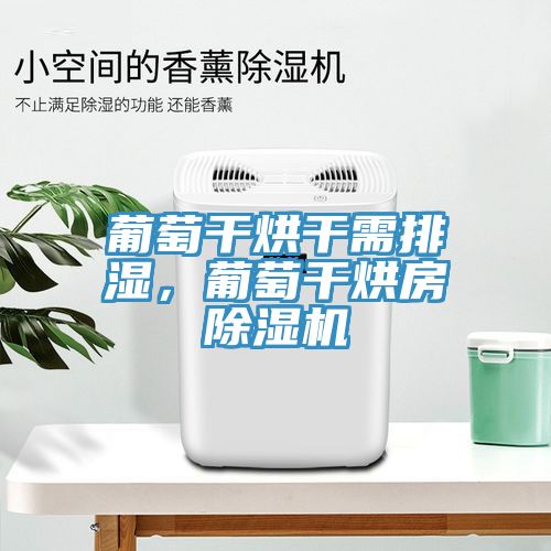 葡萄干烘干需排濕，葡萄干烘房除濕機(jī)