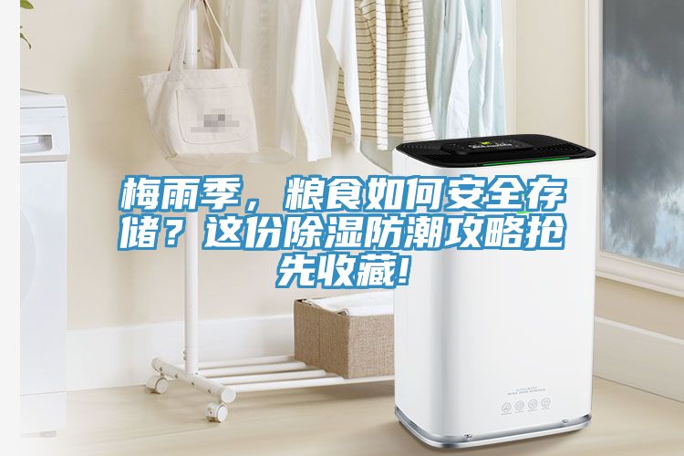 梅雨季，糧食如何安全存儲？這份除濕防潮攻略搶先收藏!