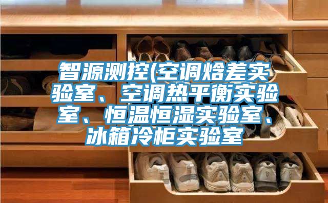 智源測控(空調(diào)焓差實(shí)驗(yàn)室、空調(diào)熱平衡實(shí)驗(yàn)室、恒溫恒濕實(shí)驗(yàn)室、冰箱冷柜實(shí)驗(yàn)室
