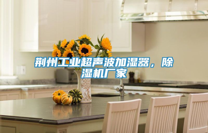 荊州工業(yè)超聲波加濕器，除濕機廠家