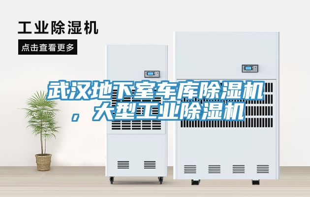 武漢地下室車庫除濕機(jī)，大型工業(yè)除濕機(jī)