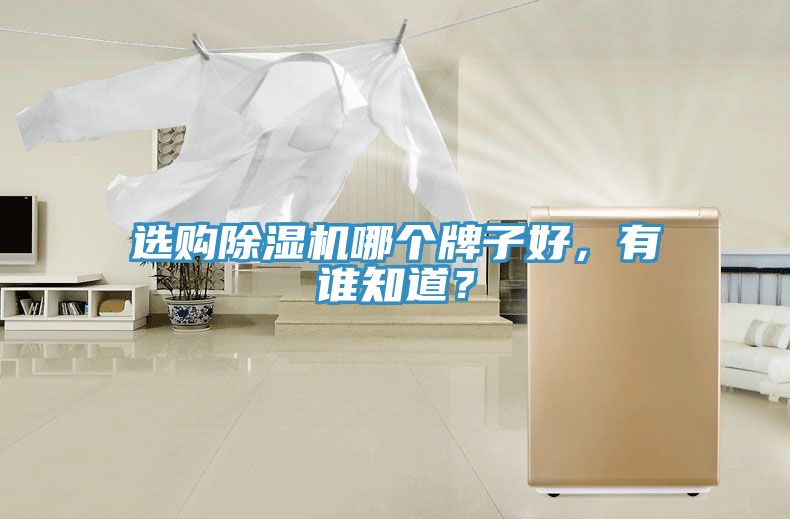 選購除濕機哪個牌子好，有誰知道？