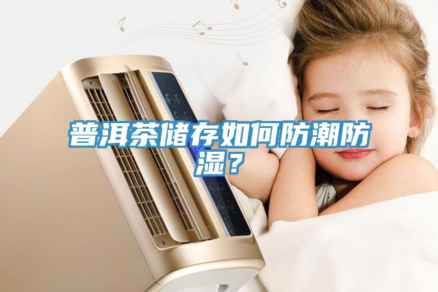 普洱茶儲存如何防潮防濕？