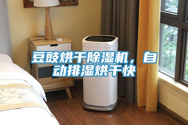 豆豉烘干除濕機(jī)，自動排濕烘干快