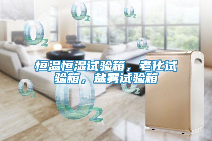 恒溫恒濕試驗箱，老化試驗箱，鹽霧試驗箱
