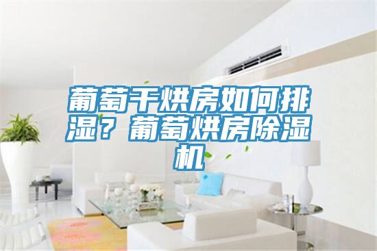葡萄干烘房如何排濕？葡萄烘房除濕機(jī)