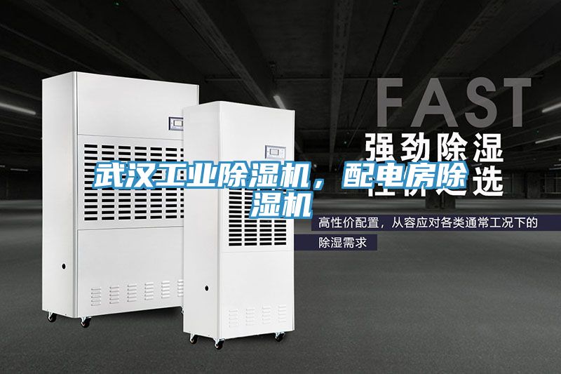 武漢工業(yè)除濕機(jī)，配電房除濕機(jī)