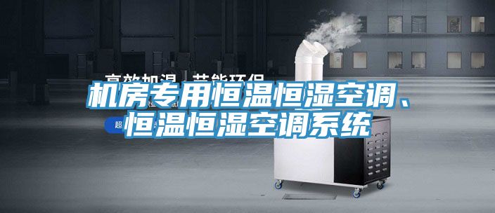 機(jī)房專用恒溫恒濕空調(diào)、恒溫恒濕空調(diào)系統(tǒng)