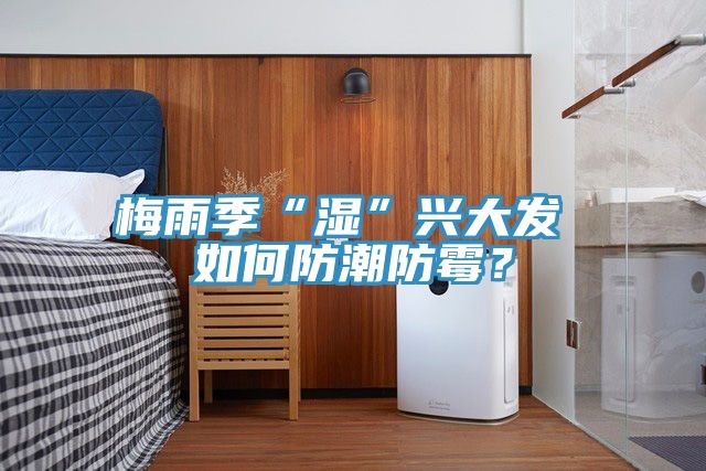梅雨季“濕”興大發(fā) 如何防潮防霉？