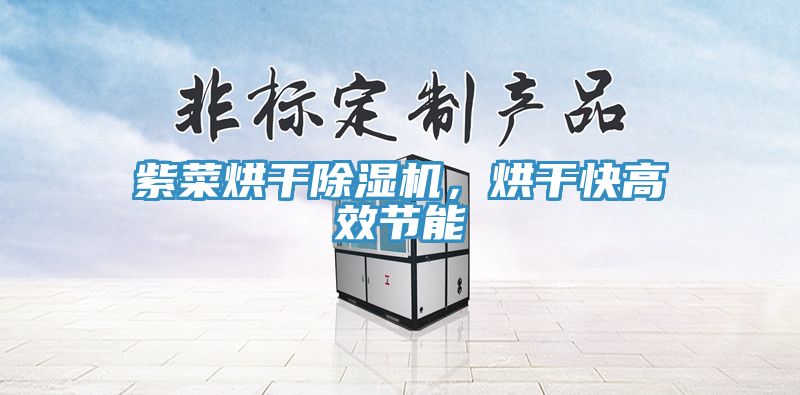 紫菜烘干除濕機，烘干快高效節(jié)能