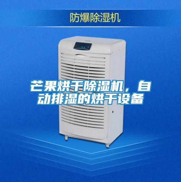 芒果烘干除濕機(jī)，自動(dòng)排濕的烘干設(shè)備