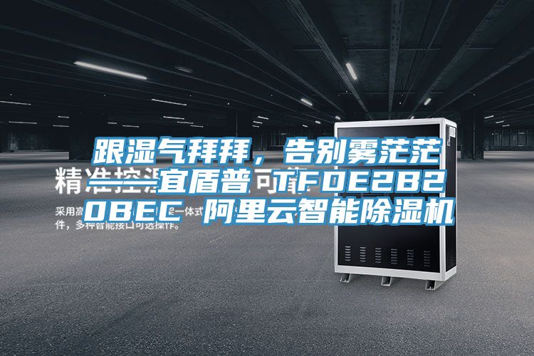 跟濕氣拜拜，告別霧茫?！硕芷?TFDE2B20BEC 阿里云智能除濕機