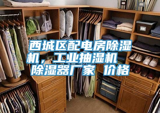 西城區(qū)配電房除濕機(jī)，工業(yè)抽濕機(jī)  除濕器廠家 價(jià)格