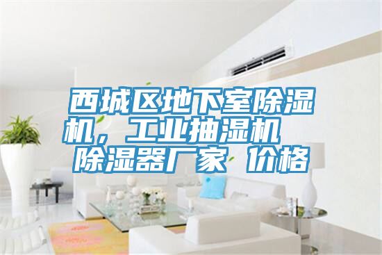 西城區(qū)地下室除濕機(jī)，工業(yè)抽濕機(jī)  除濕器廠家 價(jià)格