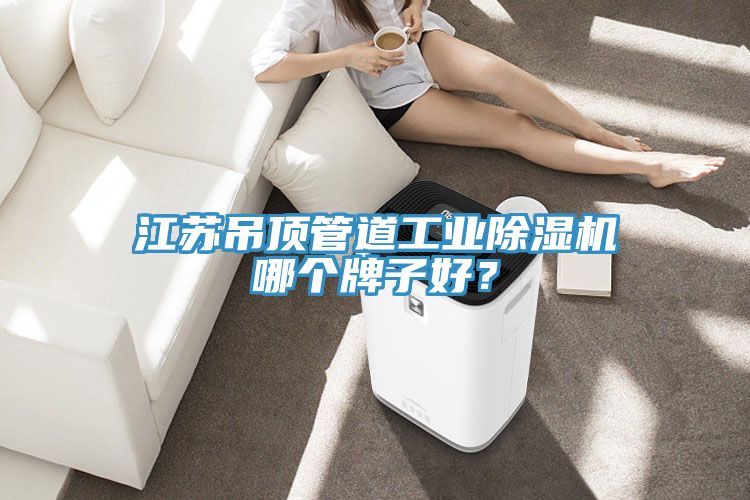 江蘇吊頂管道工業(yè)除濕機(jī)哪個(gè)牌子好？