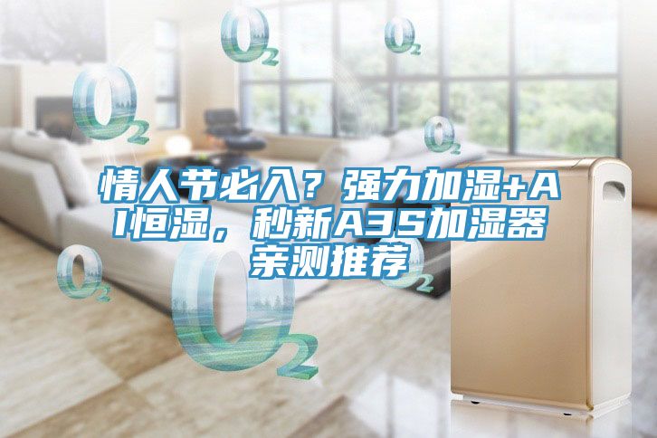 情人節(jié)必入？強力加濕+AI恒濕，秒新A3S加濕器親測推薦