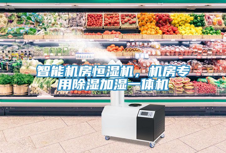 智能機房恒濕機，機房專用除濕加濕一體機