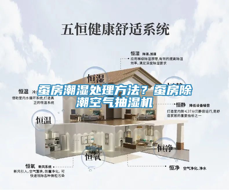 蠶房潮濕處理方法？蠶房除潮空氣抽濕機(jī)